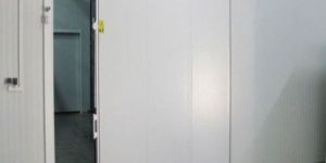 Cold Room Sliding Door