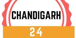 SEO Training Institutes