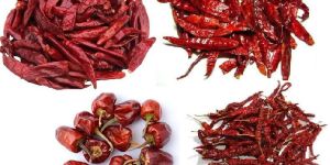 Dry Red Chilli