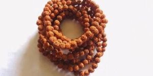 Brown Rudraksha Bracelet