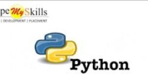 Python Online Training