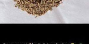 Cumin
