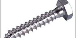 Hex Coach Screw