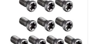 Torx Screw