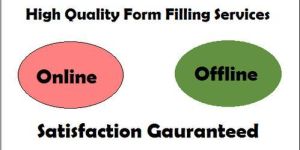 High Payout Data Entry Projects Services