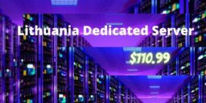 Lithuania Dedicated Server