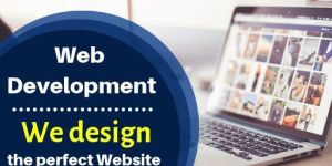 Website Development Services