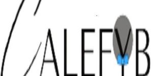 Software Development Service