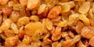 Golden Nashik Raisins
