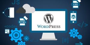 Wordpress Development Service