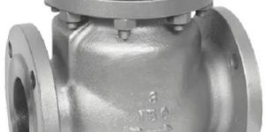 Leader Check Valve