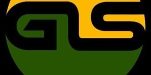 Digital Marketing Services in India