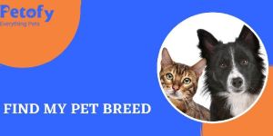 Find Dog Breed