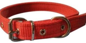 Dog Collar