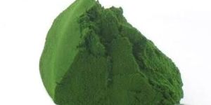 Chlorella Powder