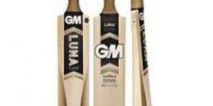 GM Cricket Bat
