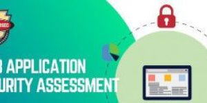 Web Application Security Assessment