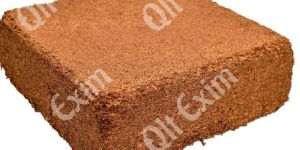 Coir Pith Blocks