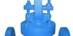 Steam Globe Valve