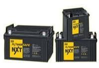 Luminous SMF Batteries