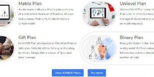 Mlm Website Hosting Service