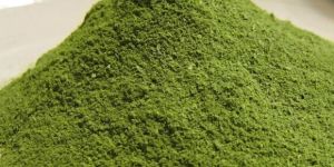 Organic Moringa Leaves Powder