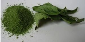 Organic Stevia Green Extract Powder