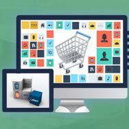 Web Development Services