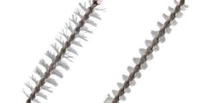 CYTOLOGY BRUSH WIRE GUIDED