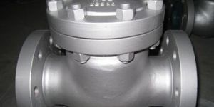TITANIUM SWING CHECK VALVE