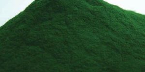 Chlorella Powder