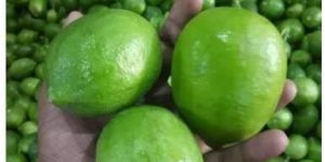 Fresh Green Lemon