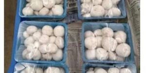 White Button Mushroom