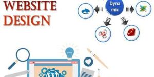 Dynamic Web Designing