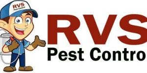 Pest Control Service