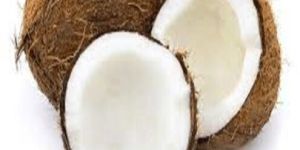 Coconut