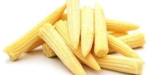 Baby Corn