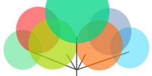 Attendance Management Software