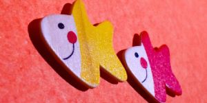 Fridge Magnets