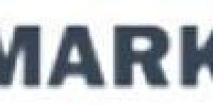 Hire Best SEO Services in Delhi NCR