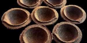 Panchgavya Biodegradable Diya