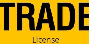 Trade License Services