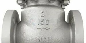 Leader Check Valve