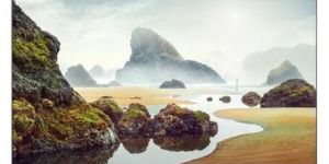 LCD TV Repair Service