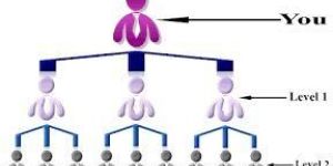 ERP Software Development