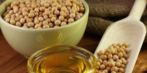 Organic Soybean (NON-GMO, High Protein, 99.9% Purity)