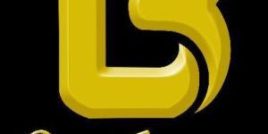 Lathiya Brothers - Dynamic Website Development Services