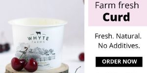 Farm Fresh Artisanal Curd