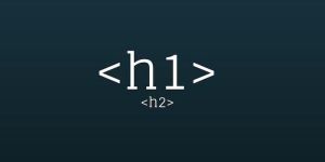 Website Custom Header Size Software Services