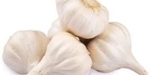 Dried Organic Garlic
